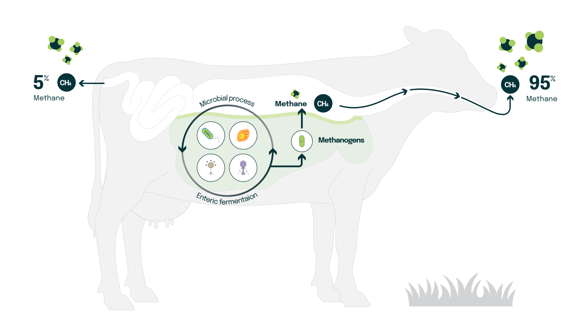 Methane MRV - emissions monitoring