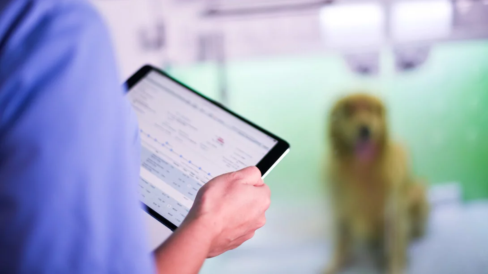 Pet Mat - stress-free pet vitals monitoring
